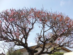 o0480036013587076933