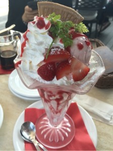 o0480064113581446706