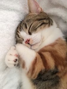 o0480064013793628614