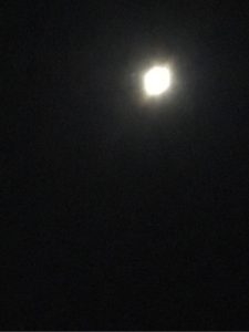 o0480064013799281480